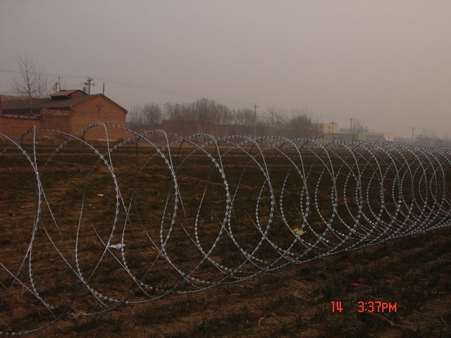 HDG Razor Wire